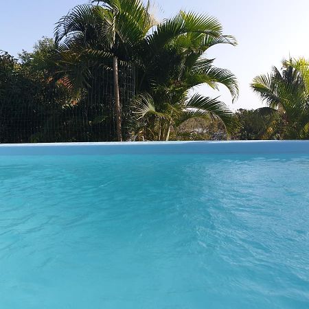Le Goyav' Appart Avec Piscine Et Jacuzzi Au Vauclin Le Vauclin Eksteriør billede
